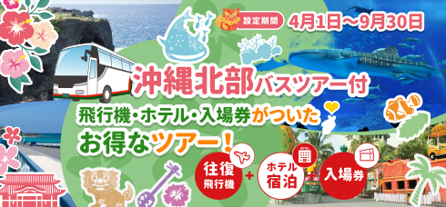 Peachで行く！沖縄周遊観光バスツアー付き旅行